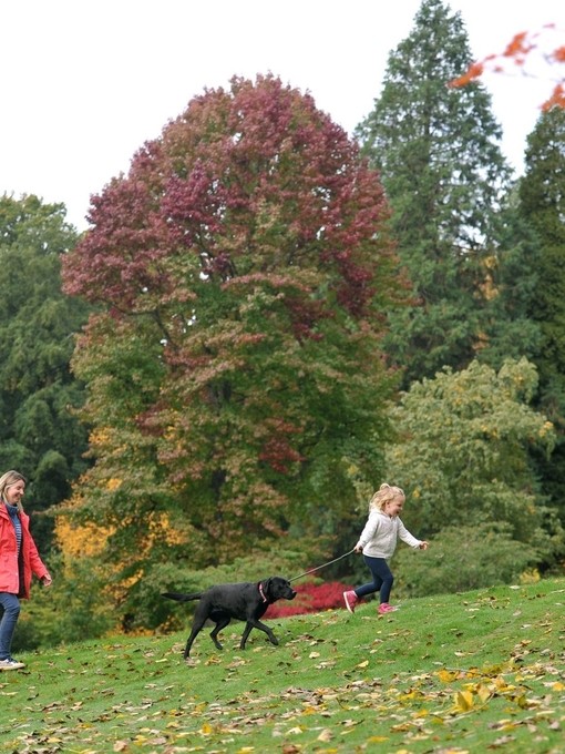 Batsford Arboretum