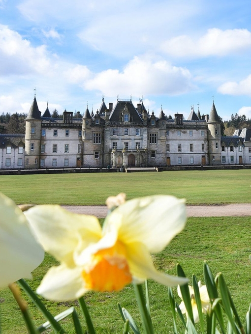 Exterior of a French-style grey mansion with turrets, with daffodils in the foreground.