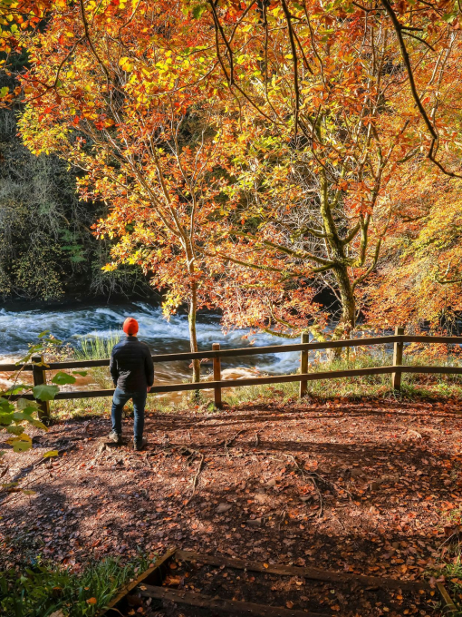 A person exploring a nature reserve on an autumnal day with a river flowing by.
