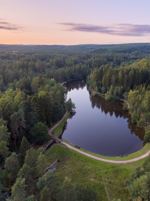 A sweeping view of a large forest and its winding river.