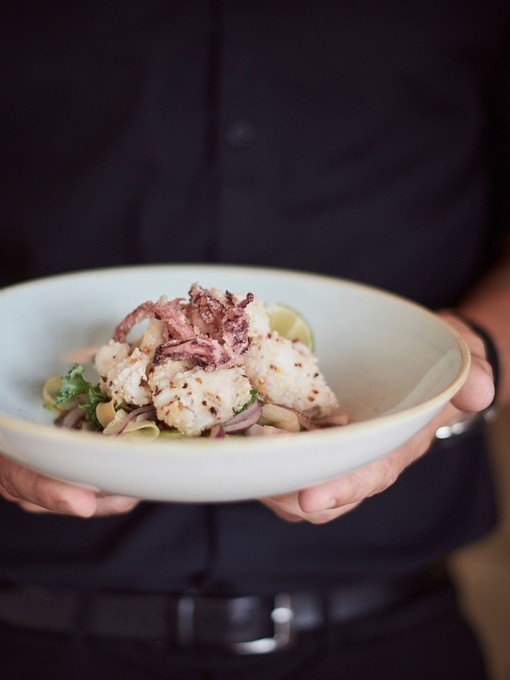 Close up of person holding plate with of food