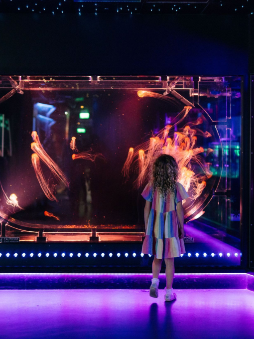 A girl stands looking at a tank with jellyfish