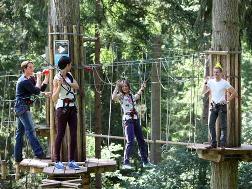 A group of people on high wires at Go Ape in Thetford Forest