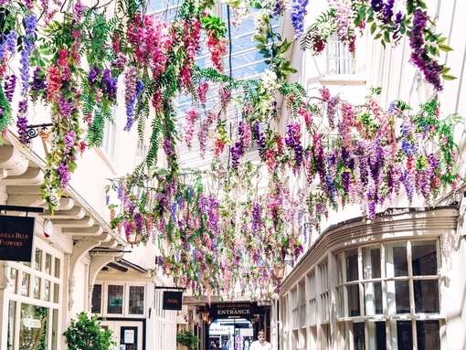 Man walking through arch covered in flowers at Lion Walk, Colchester