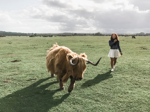 Girl, in a white skirt, walking beside a Highland cow