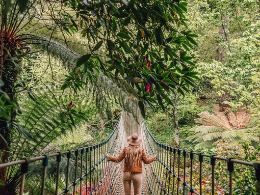 Young woman walking across a rope bridge surrounded by trees