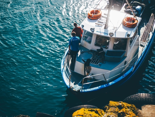Isla Skomer, Pembrokeshire, Gales