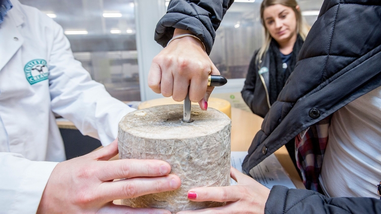 Two people holding cheese, Cheese Festival, Stephen Garnett