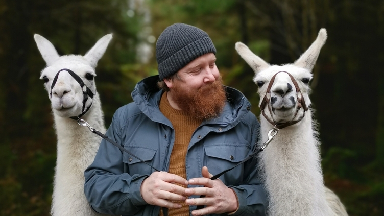 A bearded man wearing a wool hat holding two white alpacas
