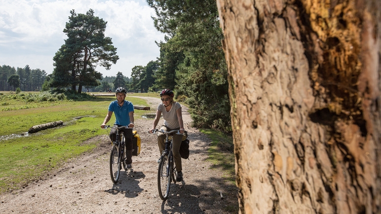 Two people cycling past a tree on a trail in the New Forest.