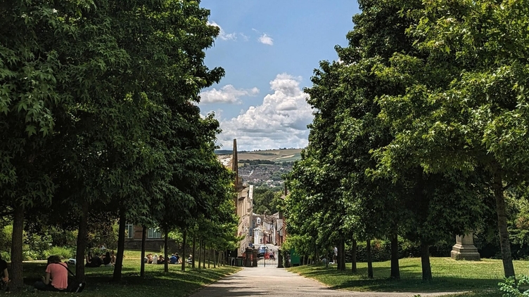 Trees and grass line a hilly path in Exeter