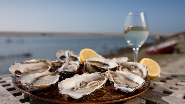 Plate of shucked oysters with a slice of lemon on table