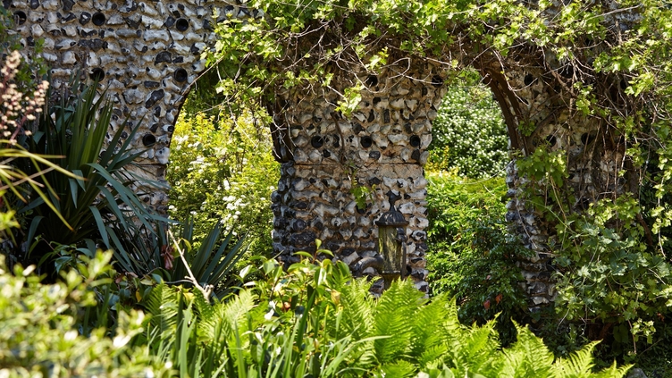 Tall plants in the gardens of Dorney Court, Windsor