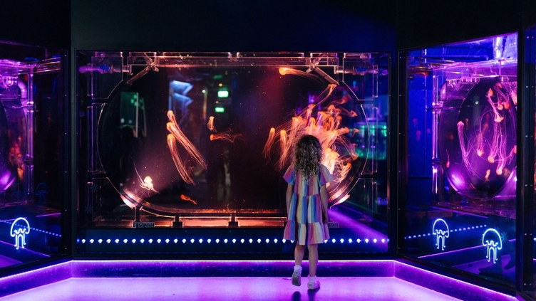 A girl stands looking at a tank with jellyfish