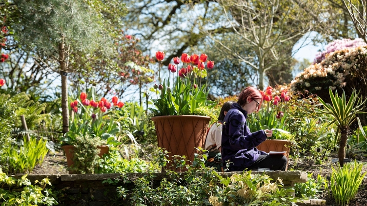 People resting in a garden setting.