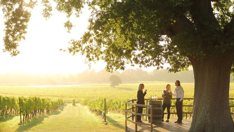 Close up of people standing under tree having a private wine tasting tour