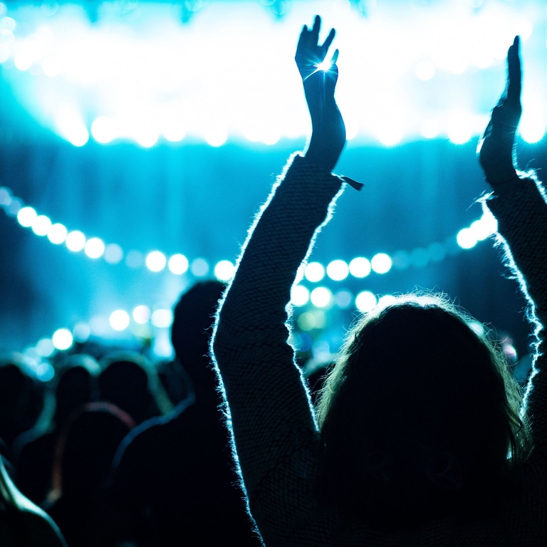 Una folla che festeggia un'esibizione in un locale musicale