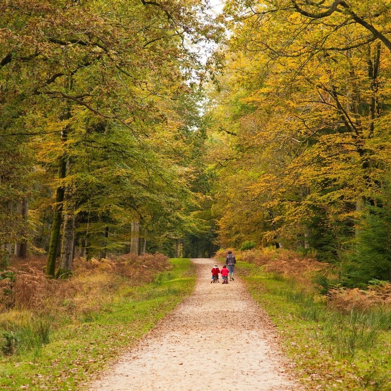 Mother and children walking along a path in a wood in early Autumn