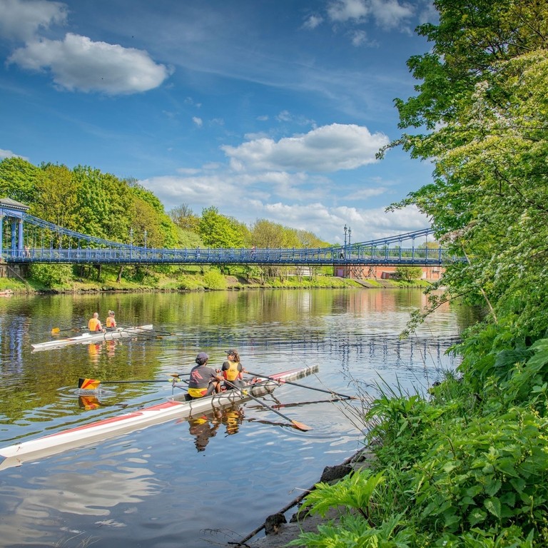 2 sets of rowers training along picturesque river, bright sunny day, green lush river banks, about to head under suspension bridge.