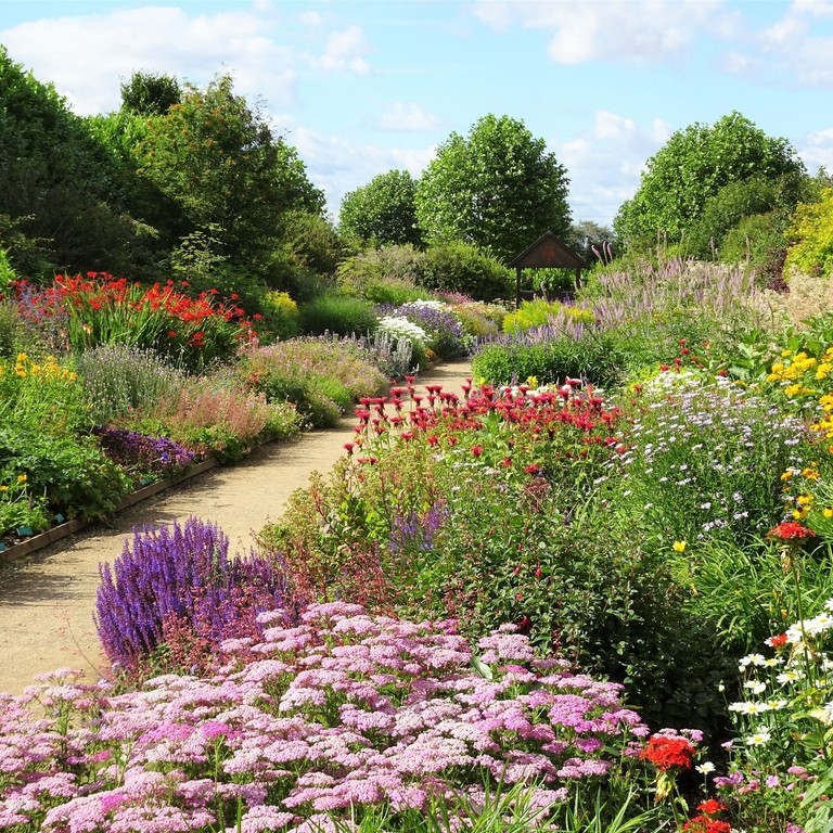 Arrays of flowers growing in Breezy Knees Gardens in York
