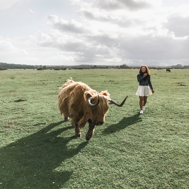 Girl, in a white skirt, walking beside a Highland cow