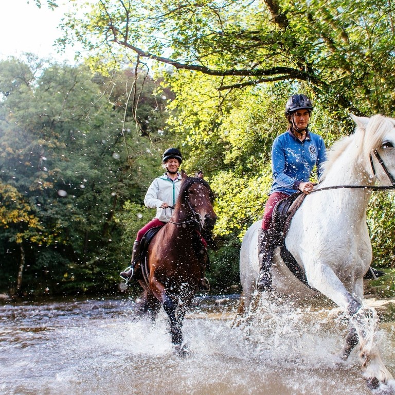 Horses and riders trotting through the shallow water.