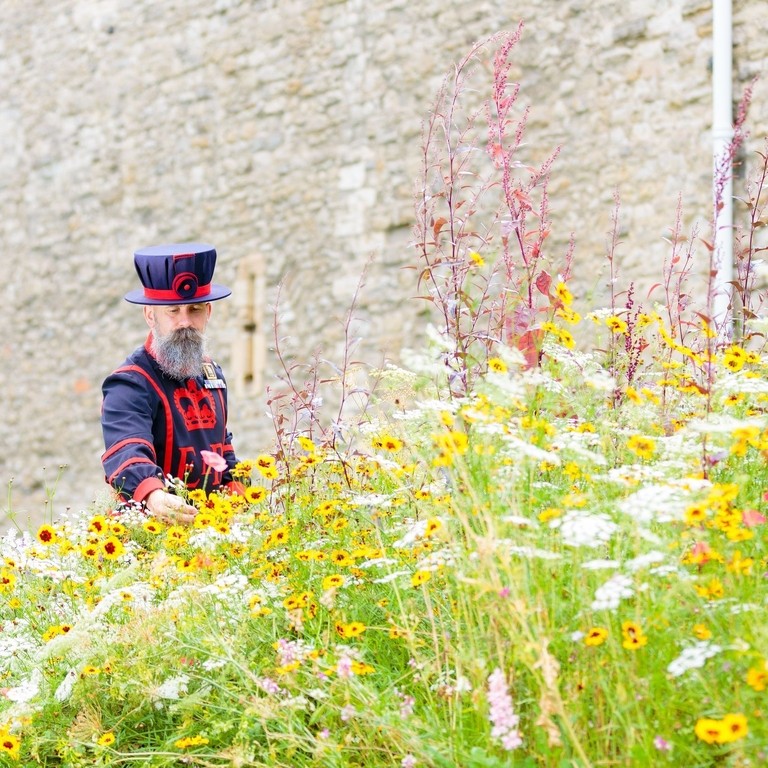 Ein Yeoman Warder betrachtet Blumen außerhalb des Tower of London