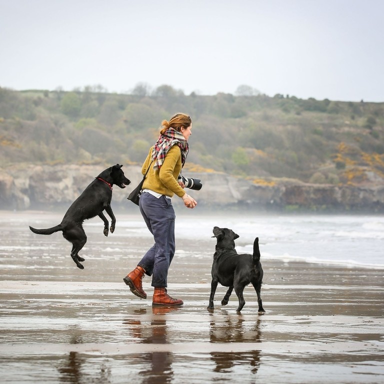 Woman playing with her dogs on beach beside the sea
