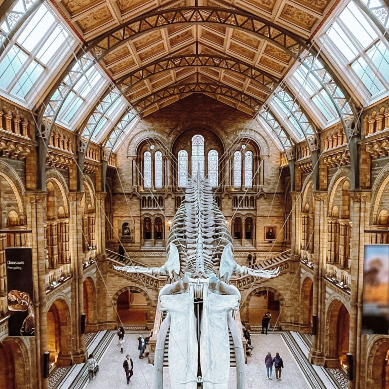 Looking down from a balcony in a museum onto a floating dinosaur skeleton that is suspended from the ceiling.
