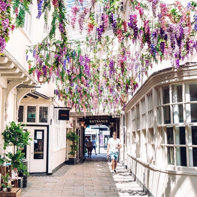 Man walking through arch covered in flowers at Lion Walk, Colchester