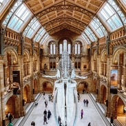 Depuis le balcon d'un musée, on aperçoit un squelette de dinosaure suspendu au plafond.