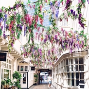 Man walking through arch covered in flowers at Lion Walk, Colchester