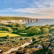 Landscape shot of chalk cliffs and ocean