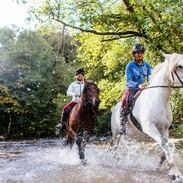 Horses and riders trotting through the shallow water. 