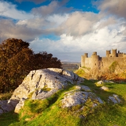 Castle standing on a grassy hilltop. Blue skies and clouds