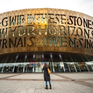 Person looking up at the front of a bronze building