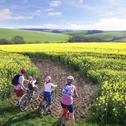 Family on bicycles looking across a yellow rapeseed field towards the horizon in the summer