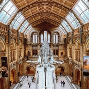Looking down from a balcony in a museum onto a floating dinosaur skeleton that is suspended from the ceiling.